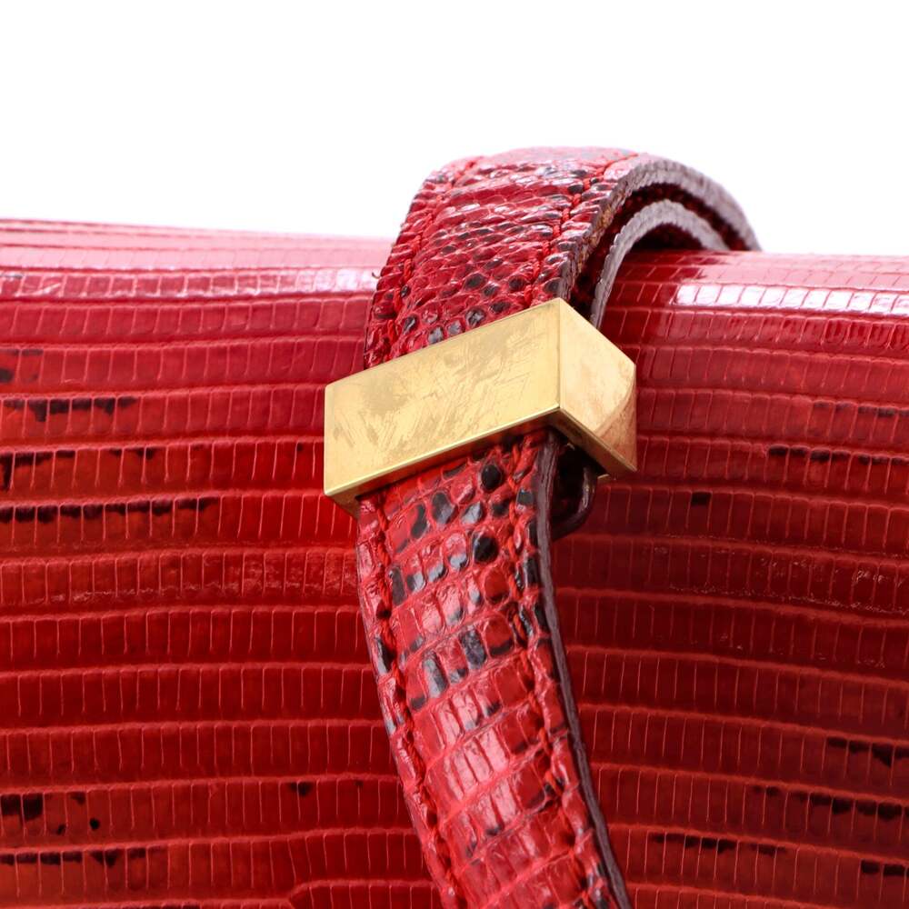 Celine Classic Box Bag Lizard Medium #224716C20B - Picture 7 of 8